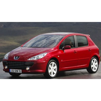 Peugeot 307 LED készlet (2005-2008)